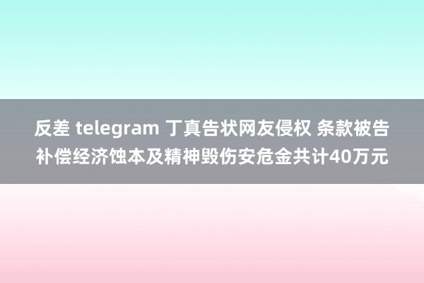 反差 telegram 丁真告状网友侵权 条款被告补偿经济蚀本及精神毁伤安危金共计40万元