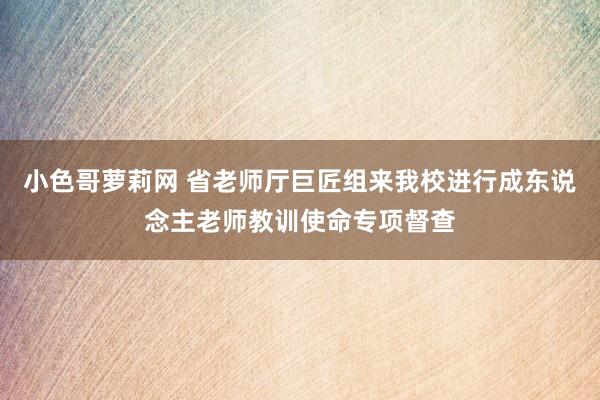 小色哥萝莉网 省老师厅巨匠组来我校进行成东说念主老师教训使命专项督查